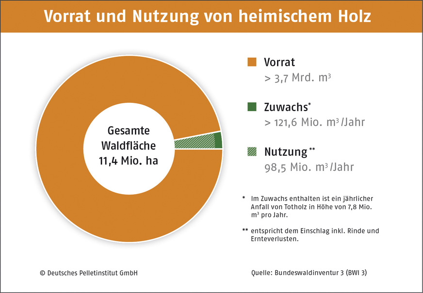 Von den über 120 Mio. m³ Holz, die im deutschen Wald jährlich wachsen, werden etwas mehr als 80 % eingeschlagen, wovon ein Teil als Restholz im Wald verbleibt. Die übrigen 20 % sind der Zuwachs der Bäume oder werden zu Totholz.