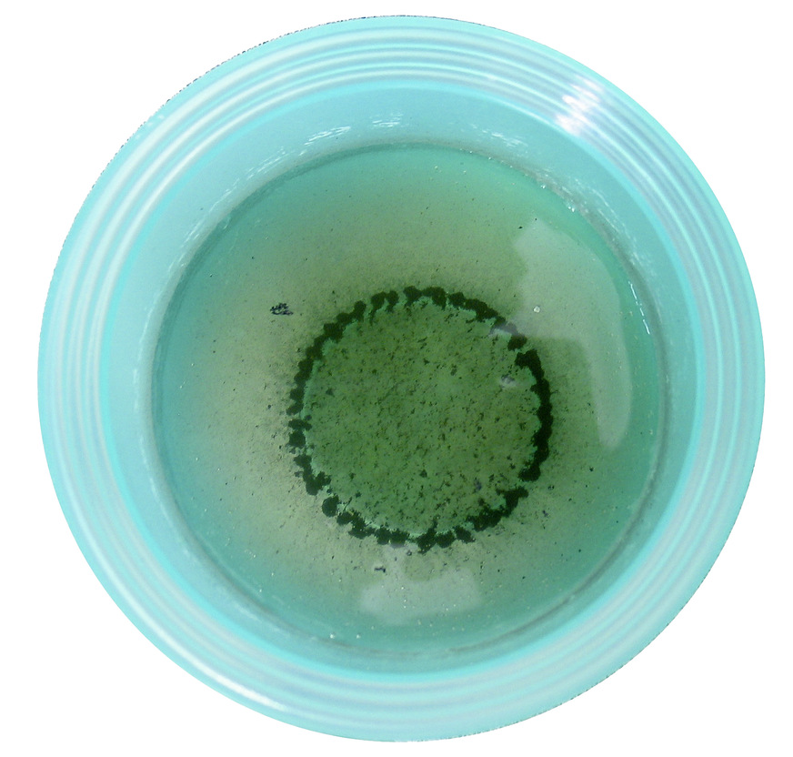 Knapp zwei Tage nach Inbetriebnahme (nur Fußbodenheizungsbetrieb) wurden über den Ablasshahn des Dirtmag knapp 0,4 l Wasser abgelassen, um den Anteil der ferromagnetischen Bestandteile festzustellen. Das Gesamtvolumen der mit voll entsalztem Heizungswasser betriebenen Heizungsanlage (Gasbrennwerttherme und 150 l Brauchwasserspeicher) beträgt 140 l.