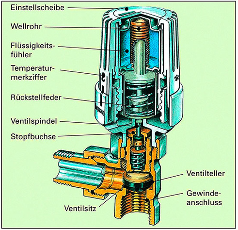 Schnittzeichnung eines Thermostatventils