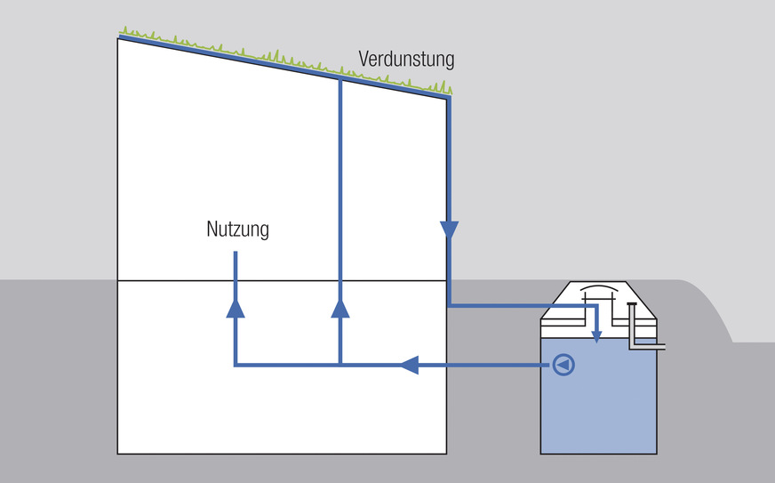 Stadtplaner wollen Niederschläge vorrangig über Gründächer verdunsten, zugunsten der City-Kühlung und Luftbefeuchtung im Sommer. Investoren wollen es in Gebäuden nutzen, um Trinkwasser zu sparen und den Immobilienwert durch ein Nachhaltigkeitszertifikat hoch zu halten.