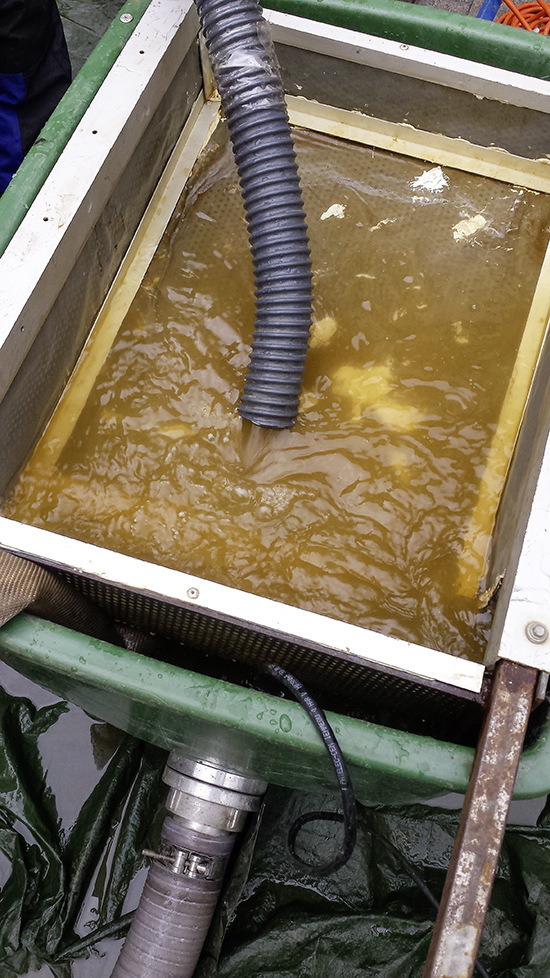 Austragskontrolle im 63-µ-Sieb: Deutlich sind die ausgefällten Eisenoxide als rostbraunes Verockerungssediment erkennbar – es gehört nicht ins Brunnenwasser