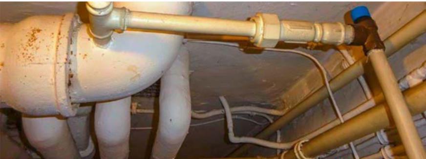 Hätte in der „Hall of Shame“ einen vorderen Podestplatz sicher!&nbsp;