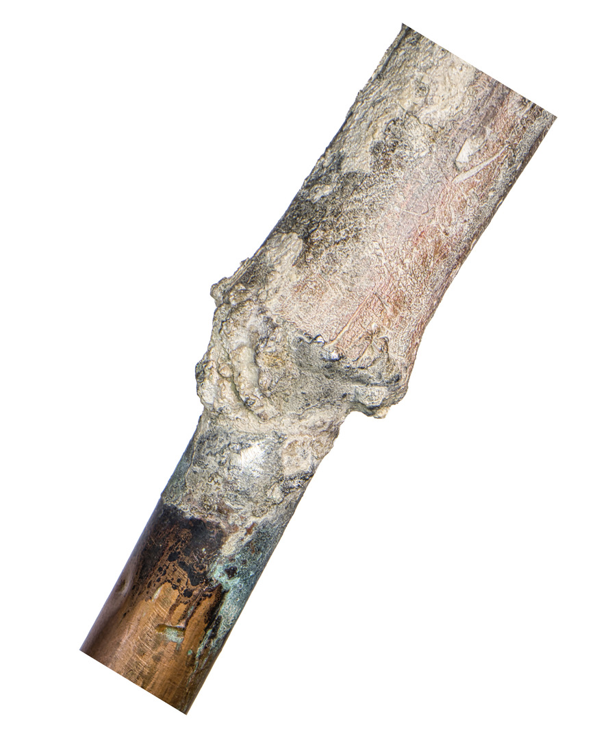 Der Betreiber einer Wasserversorgungsanlage, in der Trinkwasserleitungen oder Teilstücke von Trinkwasserleitungen aus Blei vorhanden sind, hat diese Leitungen oder Bauteile bis zum 12. Januar 2026 entfernen oder stilllegen zu lassen.