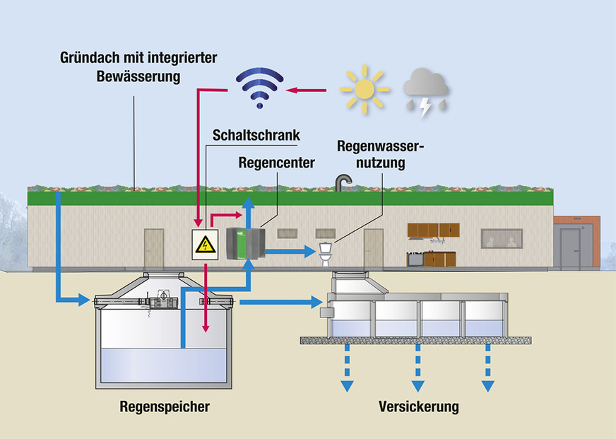 Schema der Regenwasserbewirtschaftung beim Neubau des SSC-Vereinsheims. Seit Fertigstellung im November 2023 werden 100 % des Regenwassers auf dem Gelände bewirtschaftet. Ein Kanalanschluss für Regenwasser existiert nicht.