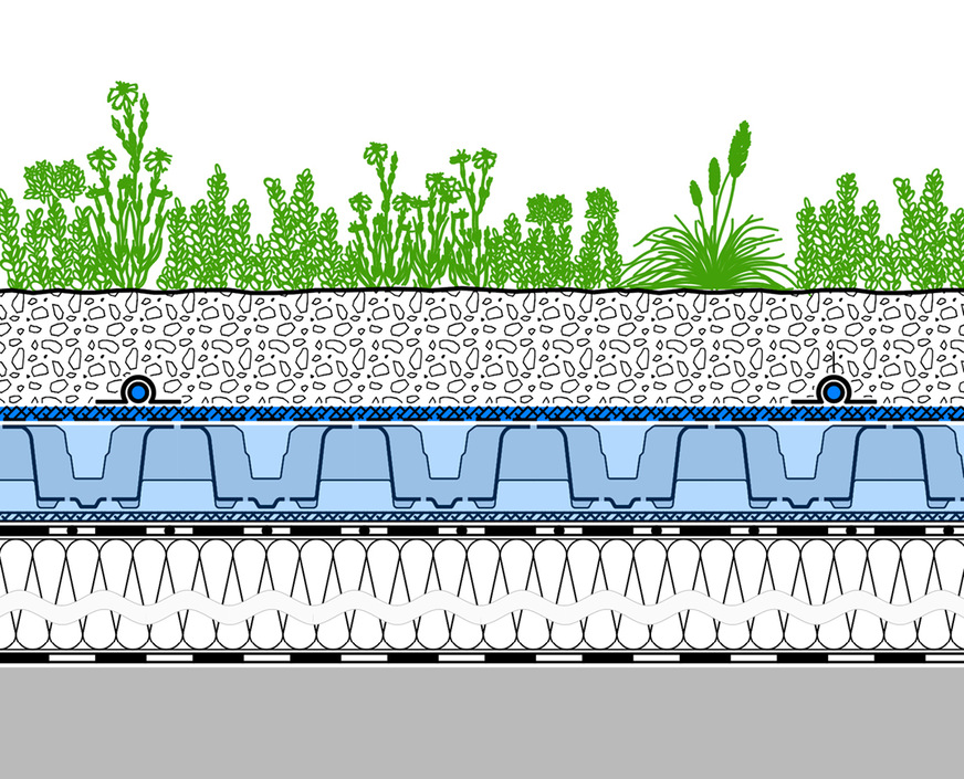 Schemadetail Aufbau des extensiven Retentions-Gründachs Sponge City Roof. Oberhalb von Dämmung und Dichtung 8 cm hohe Spacer-Elemente mit Hohlräumen für flächigen Wasserspeicher. Darüber wasserdurchlässige Trennlage Aquafleece mit Tropfbewässerung und 8 cm hoher Substratschicht.