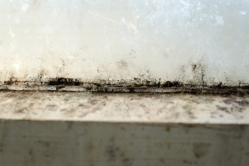 Schimmelbefall , wie hier am Fensterrahmen, ist häufig ein Anzeichen für das Vorhandensein von Wärmebrücken. Sind sie beseitigt, hat der Pilz kaum noch eine Chance, sich festzusetzen.