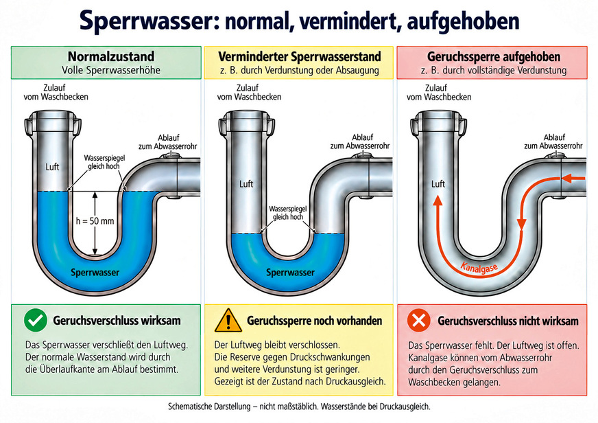 Sperrwasser hält Gase aus der Entwässerungsanlage zurück. Auch bei vermindertem Wasserstand bleibt die Geruchssperre wirksam, solange der Luftweg vollständig verschlossen ist. Fehlt das Sperrwasser, können Gase zum Ablauf gelangen. Die Grafik zeigt schematische Zustände nach Druckausgleich.