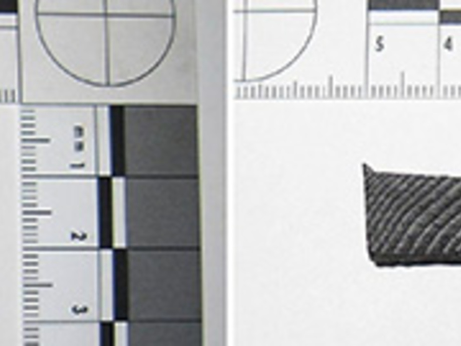 Toreffizierte Pellets SBZ Monteur