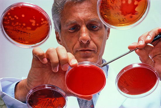 Mit der Untersuchung auf Legionellen dürfen nur dafür zugelassene Labors 
beauftragt werden
(Foto: thinkstock)
