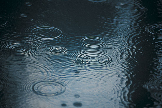 Regenwassernutzung kann sinnvoll den Geldbeutel und die Umwelt entlasten
(Bild: thinkstock)