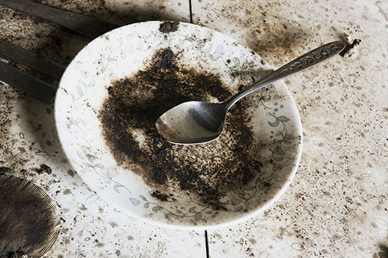 Von dem Tellerchen möchte wohl niemand seinen Nachtisch essen
(Bild: thinkstock)