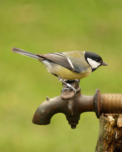 Wasser gibt´s hier erst wieder im nächsten Frühling
(Bild: thinkstock)