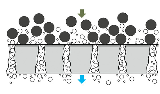 Eine Membrane filtert eventuell vorhandene Legionellen aus einer Wasserprobe
