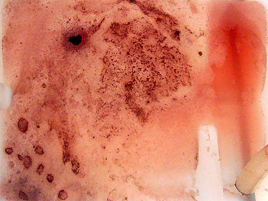 Was der Installateur als klaren Solarreiniger in die Anlage eingefüllt hat, 
bekommt durch Überreste alter Glykolprodukte eine dunkle Färbung (Bild: 
Sentinel)