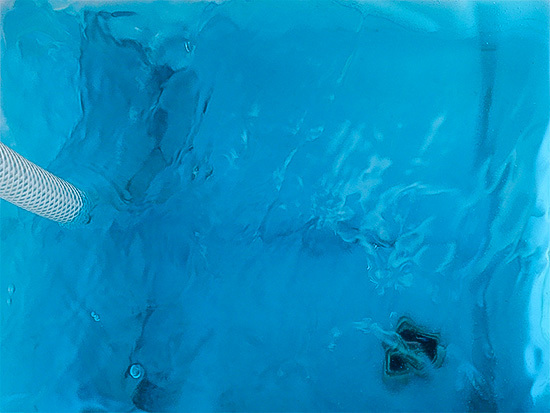 Nach der Reinigung mit R200 Solarreiniger kann die blaue R100 
Solarwärmeträgerflüssigkeit eingefüllt werden. (Bild: Sentinel)