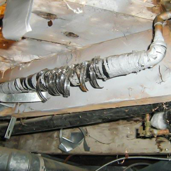 Umtriebige Keller­bewohner