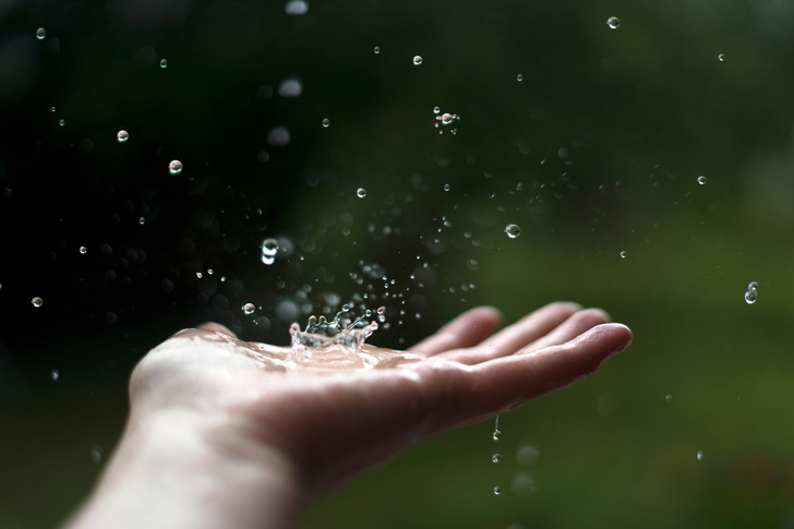 Warum nicht auffangen? Regenwassernutzung kann die Gebühren für Trink- und Abwasser reduzieren 