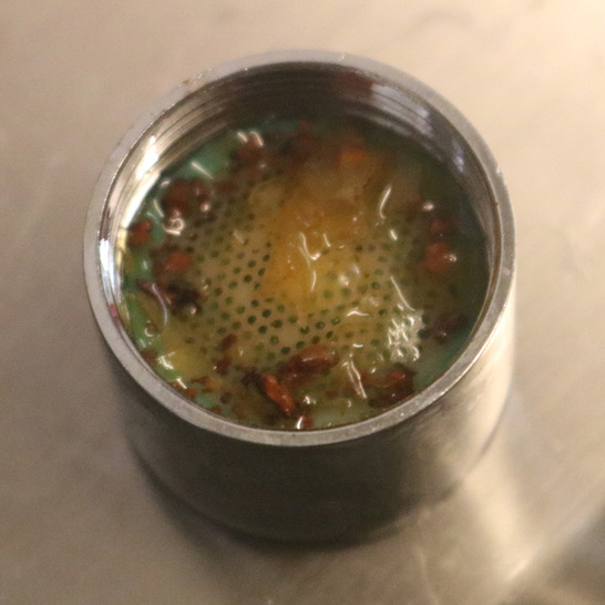 Perlator mit BIO-Film