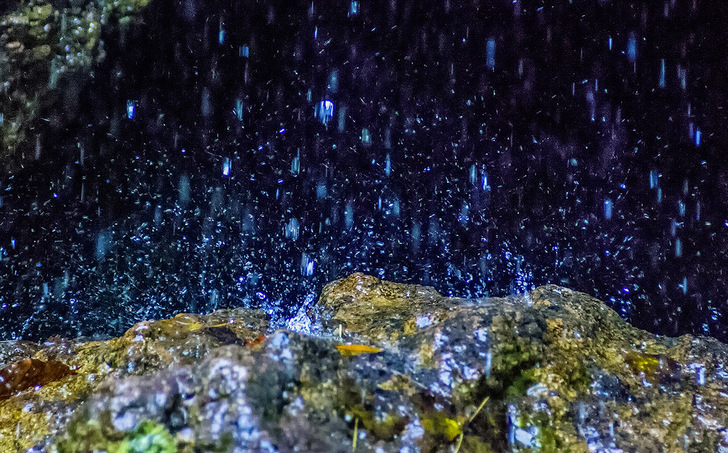 Das Wasser der Karstquelle Breitenborn hat in dem Dolomitgestein der Quellregion ordentlich Kalzium und Magnesium aufgenommen. Diese beiden Härtebildner verändern die Wasserqualität nachhaltig.