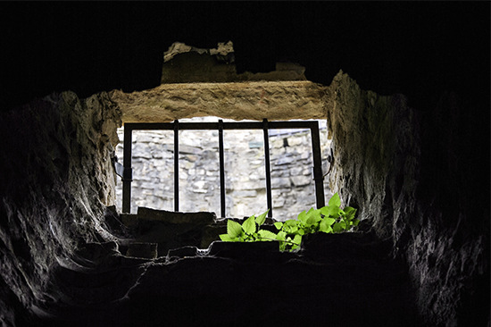 So kriegt man einen Keller nicht unbedingt trocken. Ständiger Luftaustausch kann auch nachteilig sein