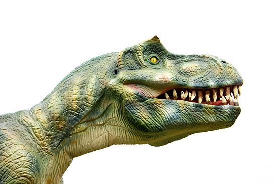 Einrohrheizungen: Diese Dinosaurier-Heizungstechnik baut niemand mehr neu. Was aber ist mit den Bestands­anlagen? Gibt es die Wiederbelebung im Jurassic Parc? - © Bild: Zoonar RF / thinkstock
