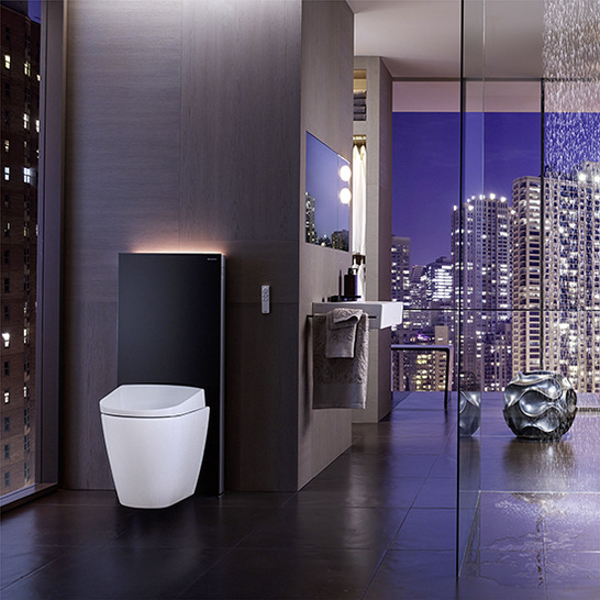 Mit dem innovativen Monolith Plus wird das Stand-WC zum Designelement für Renovierung oder Neubau