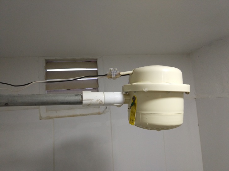 Fundort: Irgendwo in Süd-Amerika und im Kaufl… Web-Shop