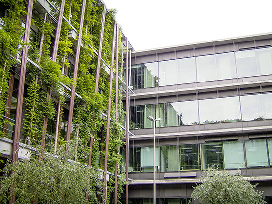 Begrünte Südfassade der Humboldt-Universität zu Berlin am Standort Adlershof 