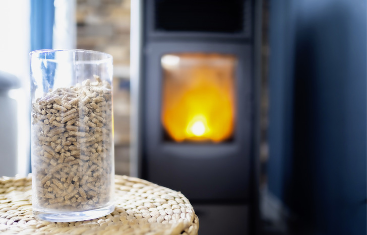 Holzfeuerungen werden in Bezug auf den Klimaschutz immer wieder beleuchtet. Dazu zählen natürlich auch Anlagen zur Verfeuerung von Pellets