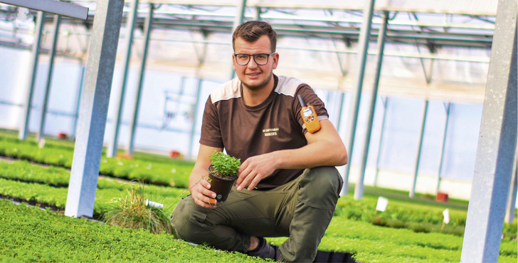 Durch die neue Holzfeuerungsanlage mit Wärmerückgewinnung spart Rankers knapp 280 Tonnen Kohle im Jahr. - © Bild: Bio Gartenbaubetrieb Rankers GmbH, Straelen
