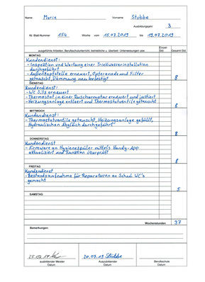 Wochenbericht Themen Sbz Monteur