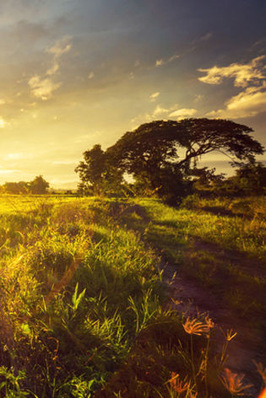 Urlaub ist was schönes-Doch was regelt das Gesetz?
