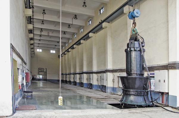 Axiale Tauchmotorpumpe von Wilo