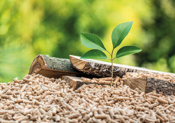 Was ist dran an den Bedenken gegenüber der Pelletheizung?