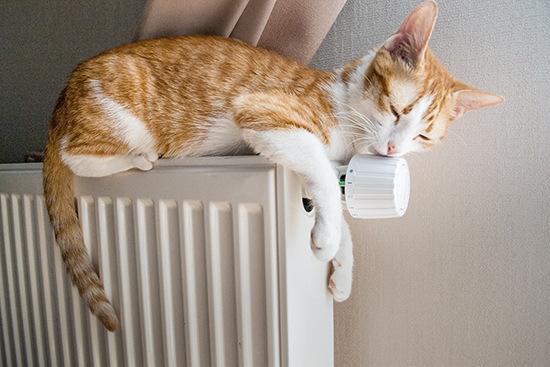 Dir reicht es, wenn es warm ist. Das Knowhow dafür
schleppen andere mit sich rum