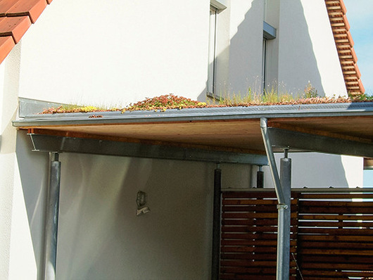 Ob Gründachabfluss in den Regenspeicher für Gartenbewässerung und Toilettenspülung gelangen dürfen, lesen Sie in diesem Bericht