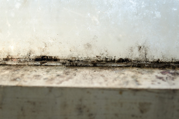 Schimmelbefall , wie hier am Fensterrahmen, ist häufig ein Anzeichen für das Vorhandensein von Wärmebrücken. Sind sie beseitigt, hat der Pilz kaum noch eine Chance, sich festzusetzen.