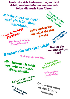 Alt-Text: „Verschiedene Begriffe und Redewendungen aus der Sanitär- und Heizungstechnik auf weißem Hintergrund, die Themen wie Gasinstallation, regenerative Energien und Werkzeuge im SHK-Handwerk darstellen.