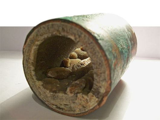 Inkrustierungen der Rohrleitungen bieten Wasserasseln zusätzlichen 
Lebensraum in Trinkwasser-Systemen
