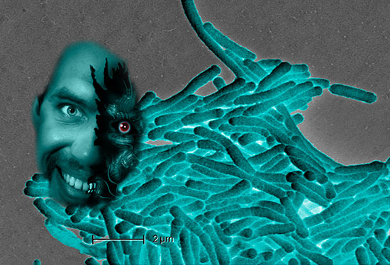 Wenn der „Therminator“ zuschlägt, dann geht´s mit Hitze gegen 
Legionellen
(Bild: thinkstock)
