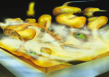 Biofilm unter dem Mikroskop. Das Rohr lebt Bild: Aqua Butzke
