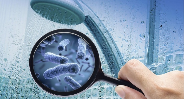 Legionellen Bild: SBZ-Online
